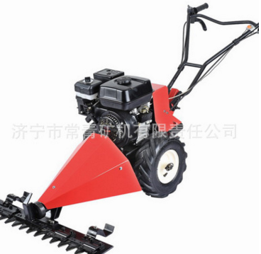 廠家供應(yīng)植保機(jī)械 手推式剪草機(jī) 汽油割草機(jī)行走無級(jí)變速
