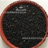 新采收樹木種子 白花椒種子 花椒種子 藤椒種子 量大優惠