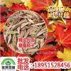 批發(fā) 新采糖槭種子 別稱銀白槭 糖槭樹種子 楓樹種子 林木種子
