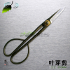 盆景工具/葉芽剪/樹芽剪/專業(yè)修剪葉芽/精品葉芽剪/朱記盆景工具