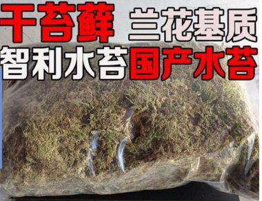 干水苔干苔蘚 鐵皮石斛蝴蝶蘭土 蘭花土 進(jìn)口水苔