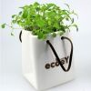 園藝盆栽創(chuàng)意禮品 工藝擺件陶瓷擺件zakka多肉植物盆栽特價(jià)促銷(xiāo)
