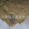 批發(fā)狗牙根草坪種子 帶殼 踐踏草坪 草皮種籽 易管理 出芽高