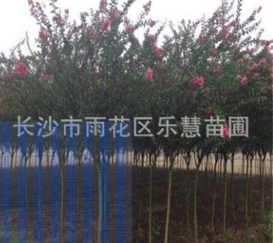 QQ截圖20180828150022