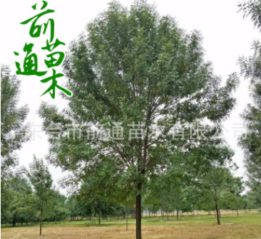 QQ截圖20180829150604