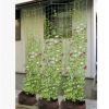 加粗30股線 園藝網 1.8米*0.9米爬藤網 外貿園藝爬藤植物用