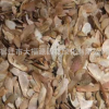 苗木基地直銷優(yōu)質(zhì)美國紅楓種子 90%發(fā)芽率100%純種低價促銷中