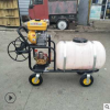 多功能小果園茶園專用噴藥打藥機 手推式汽油打藥機 農田打藥機