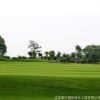 基地批發(fā)銷售果嶺草草坪 供應(yīng)優(yōu)質(zhì)果嶺草四季常青草坪量大從優(yōu)