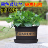 天時(shí)利加侖花盆黑色矮胖加侖盆多肉綠蘿塑料花盆陽臺種花種菜盆