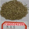 基地直銷黑麥草種子 優(yōu)質(zhì)精選黑麥草種子 牧草種子黑麥草質(zhì)優(yōu)價廉