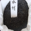 水蠟種子 小水蠟 小葉女貞水蠟批發(fā)新采林木種子 實(shí)體店鋪批發(fā)
