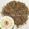 批發(fā) 蒲公英種子 婆婆丁種子 草花種子 苦菜子黃花地丁野菜種子