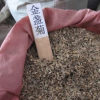 批發各種花卉種子菊花種子 優質金盞菊種子 草花種子