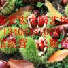 泰山板栗苗直銷 果實(shí)香甜泰山板栗苗 優(yōu)質(zhì)嫁接板栗苗 量大優(yōu)惠￥