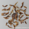 綠豐耀種業 批發林木楓樹種子 雞爪楓 雞爪槭樹種子