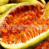 荔枝味香蕉百香果種子紅肉百香果