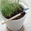 批發(fā)園藝養(yǎng)花種植工具 迷你小型三件套 鏟/耙/鍬多肉植物種植工具