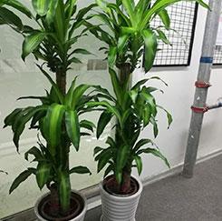 測(cè)試數(shù)據(jù)