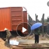 低價大量供應綠化苗木夾竹桃農戶自家花場直銷寵物及園藝園林