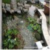 深圳景觀魚池假山塑石水景噴泉水凈化過(guò)濾循環(huán)系統(tǒng)