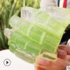 美容院用高粘度庫拉索蘆薈葉片灌膚用納豆奶蘆薈盆栽苗蘆薈植物