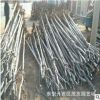 大量供應優質白蠟樹 行道大樹白蠟樹 批發白蠟基地