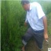 苗木基地直銷不脫腿側(cè)柏苗 營養(yǎng)缽側(cè)柏苗 嫁接用當(dāng)年側(cè)柏小苗