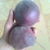 黑桃