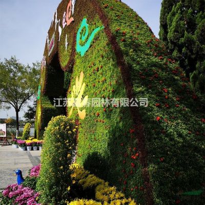 龍柏苗 龍柏小苗 龍柏樹苗 小龍柏 龍柏 綠化小苗 喬灌木工程苗