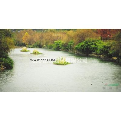 香泡，香泡樹苗，香泡樹，別名：香櫞，枸櫞，香泡基地，沭陽(yáng)香泡