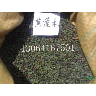 欒樹種子報價/江西欒樹種子報價