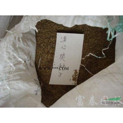 欒樹，欒樹苗，江蘇欒樹，別名：燈籠樹、欒樹價格