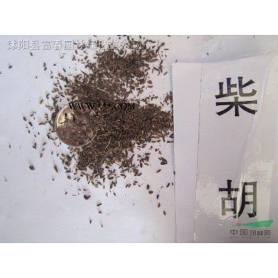 無患子，無患子樹苗，沭陽無患子，無患子價格，無患子基地