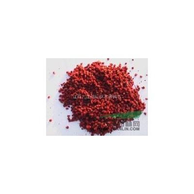 石楠 江西紅葉石楠大量供應(yīng) 價格優(yōu)惠