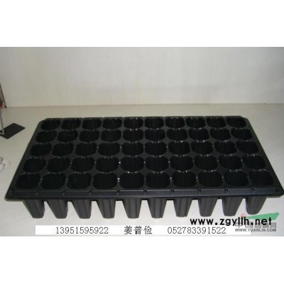 低矮型花籬苗春娟夏娟毛娟月季海棠花杜鵑花迎春花繡線菊價格行情
