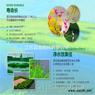 品種月季、月季花小苗、品種月季沭陽繁育基地