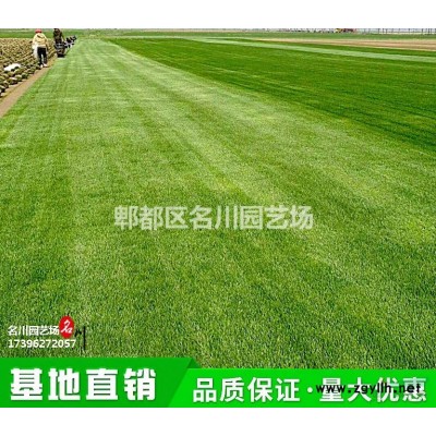 雙以杯大花繡球_繡球花批發(fā)價(jià)格_八仙花種植基地報(bào)價(jià)_成都花境草花報(bào)價(jià)