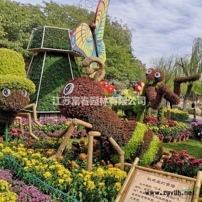 基地直售 金葉連翹 金葉連翹小苗 大中小袋杯苗色塊苗地被苗綠化苗木