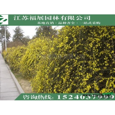 江蘇連翹信息
