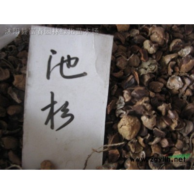 污水凈化_浮島人工浮島每平米價(jià)格_齊村鎮(zhèn)河道綠化方案