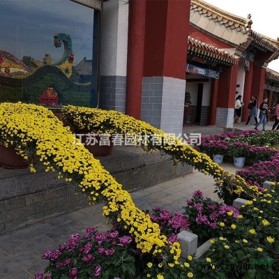 水生植物菱，菱苗，別名芰，水菱，風菱、烏菱，菱角，水栗，菱實