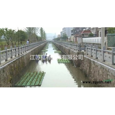 醉魚草花境植物 加侖盆苗 杯苗 袋苗 大桶苗  苗圃價格