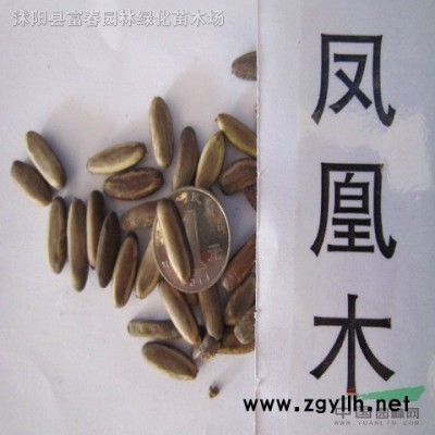 廠家*可定制綠雕 戶外仿真植物綠雕