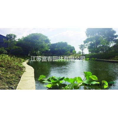 紅花重瓣櫻花 京紅早櫻樹苗價格優確保品種純正