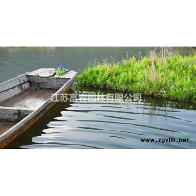 批發定制大型仿真綠雕工藝品制作景觀植物動物雕塑造型戶外擺件飾