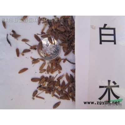 園林景觀綠雕 仿真綠色雕塑 仿真植物綠雕 綠色環保仿真動植造