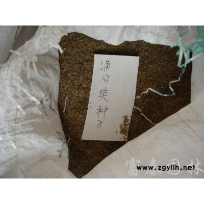 浮島安裝_河道生態(tài)修復(fù)工程方案_河道兩岸綠化效果圖大全