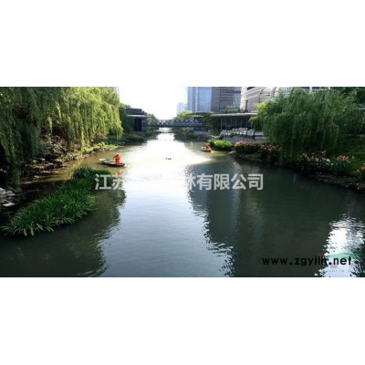 仿真植物綠雕 人物雕塑廠家 做工精細 壽命長 抗紫外線