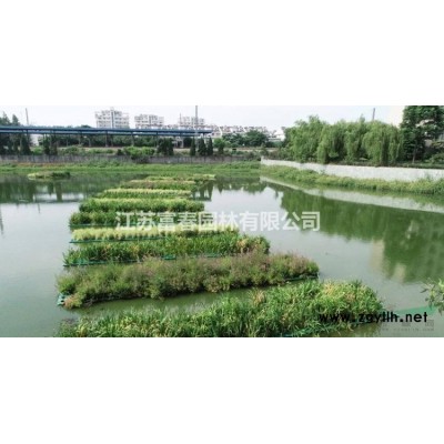 人工生態(tài)浮島_河道生態(tài)修復(fù)工程方案_施工價格行情